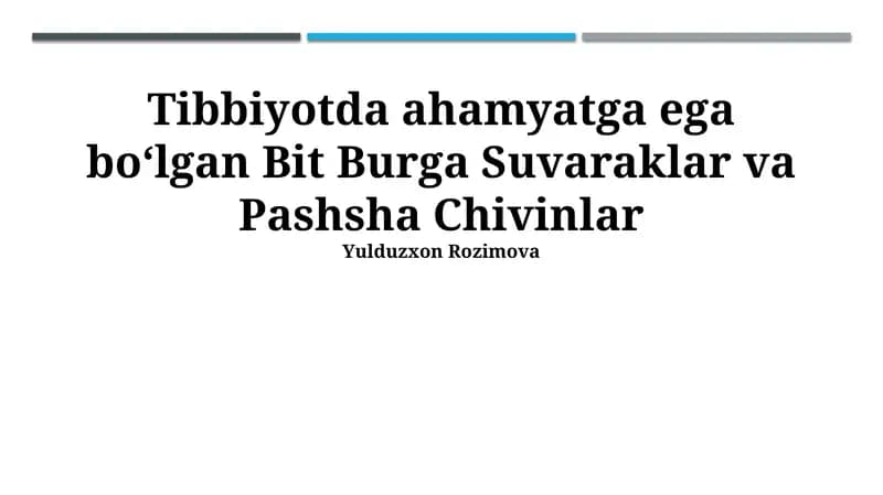 Bit Burga Suvaraklar va Pashsha Chivinlar