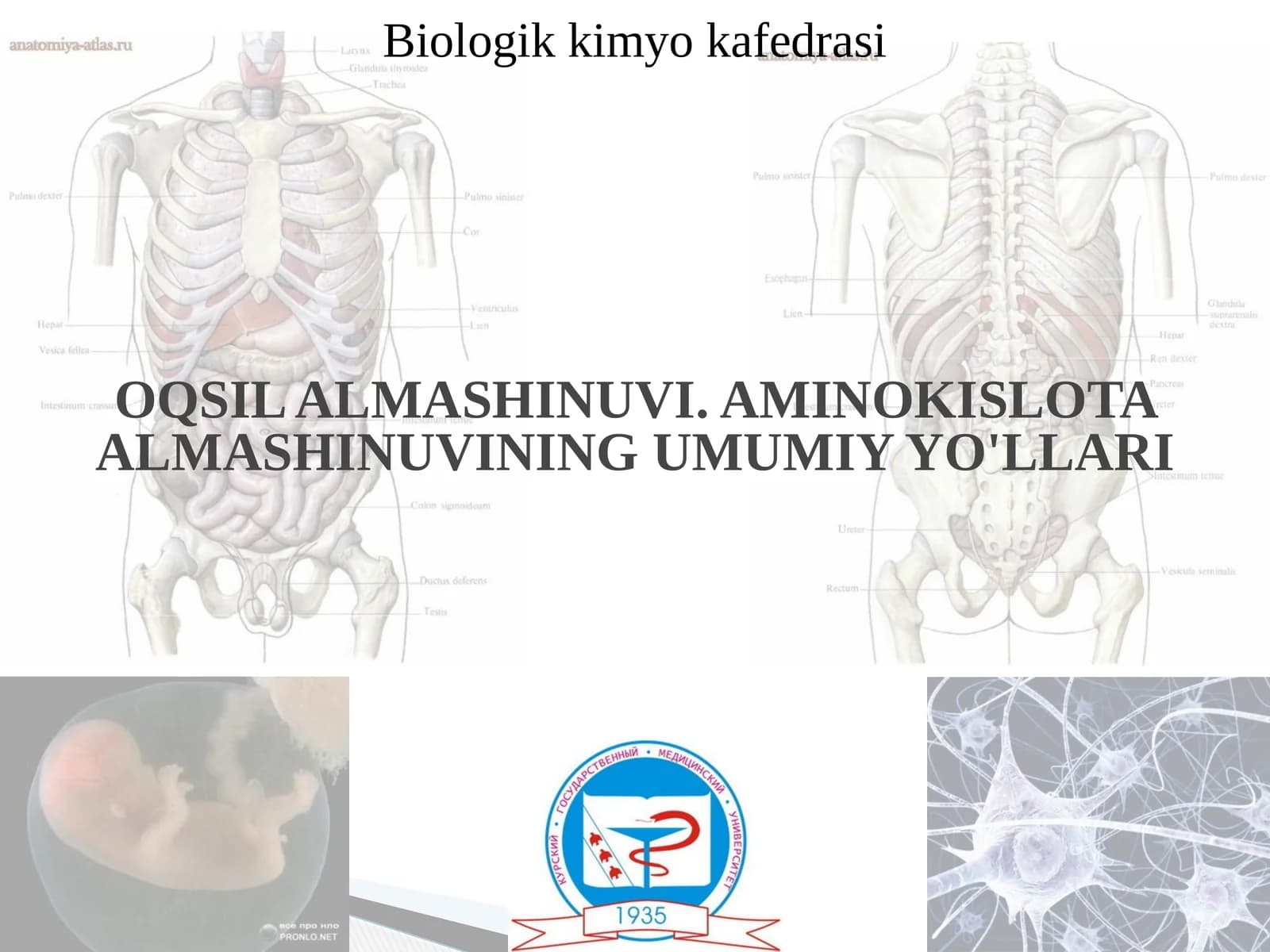 OQSIL ALMASHINUVI. AMINOKISLOTA ALMASHINUVINING UMUMIY YO'LLARI