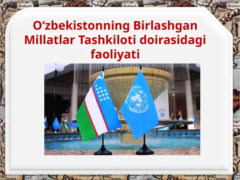 O‘zbekistonning Birlashgan Millatlar Tashkiloti doirasidagi faoliyati