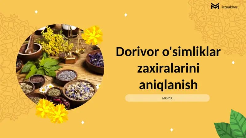 Dorivor o'simliklar zaxiralarini aniqlanish
