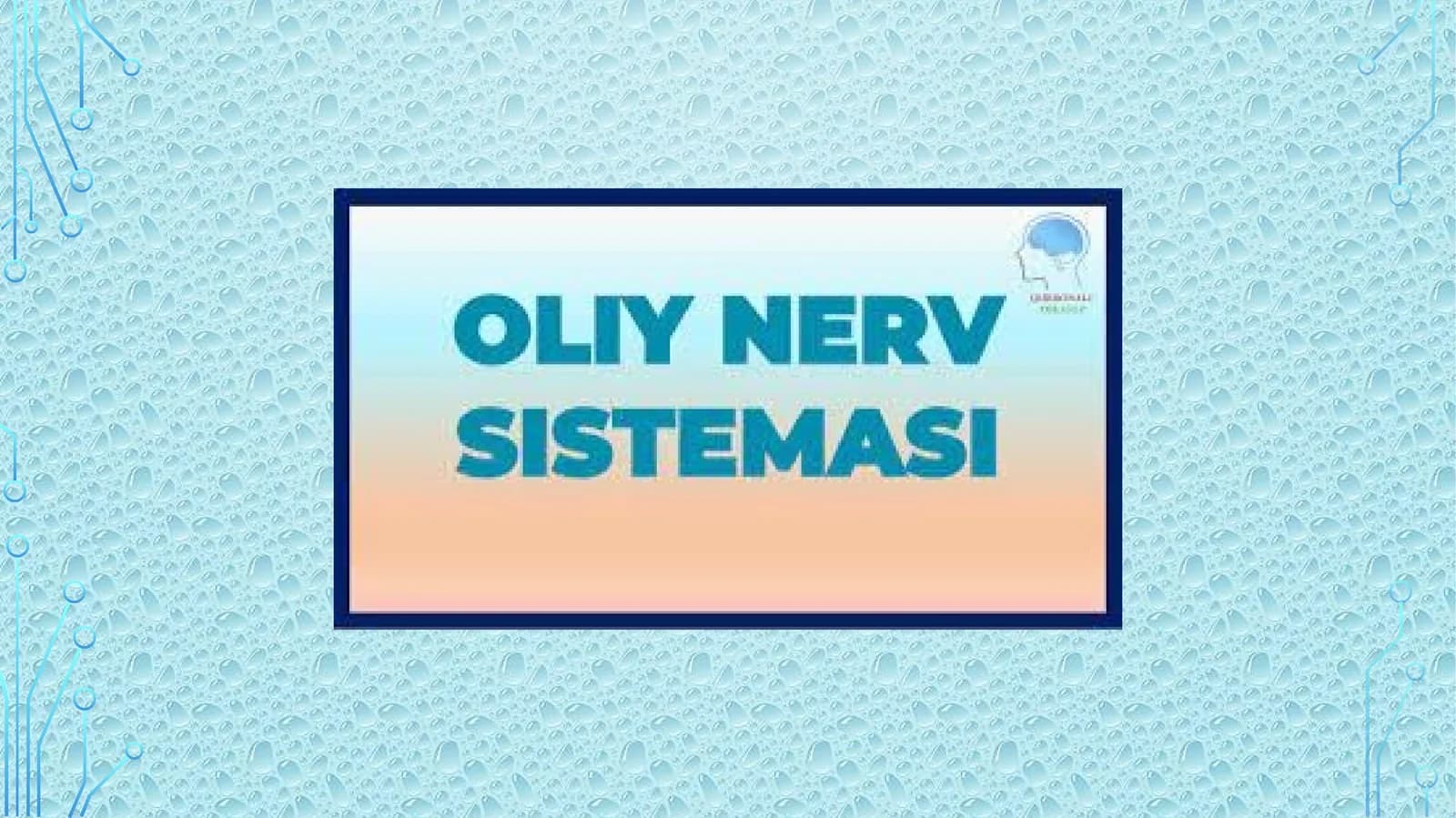 Oliy nerv faoliyati