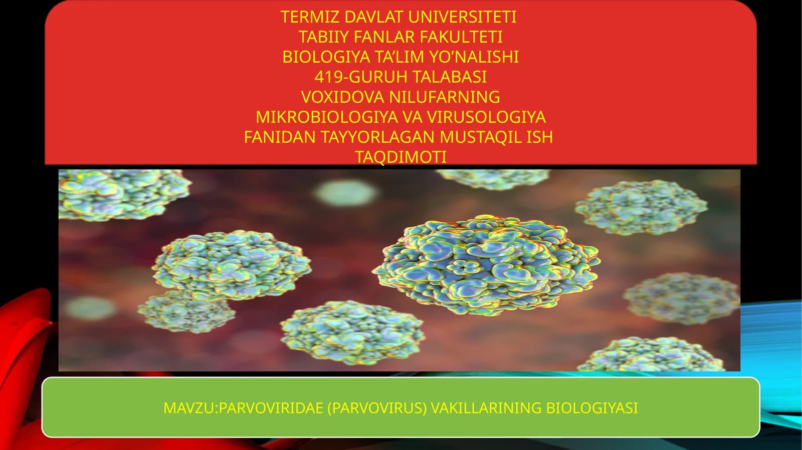 PARVOVIRIDAE (PARVOVIRUS) VAKILLARINING BIOLOGIYASI