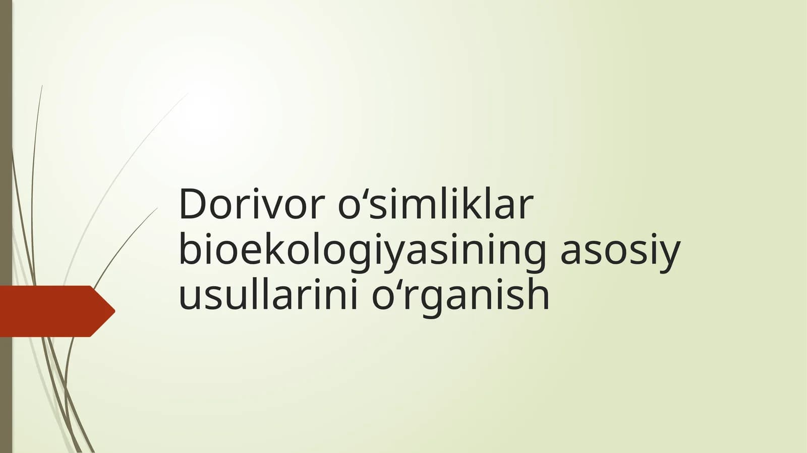 Dorivor o‘simliklar bioekologiyasining asosiy usullarini o‘rganish