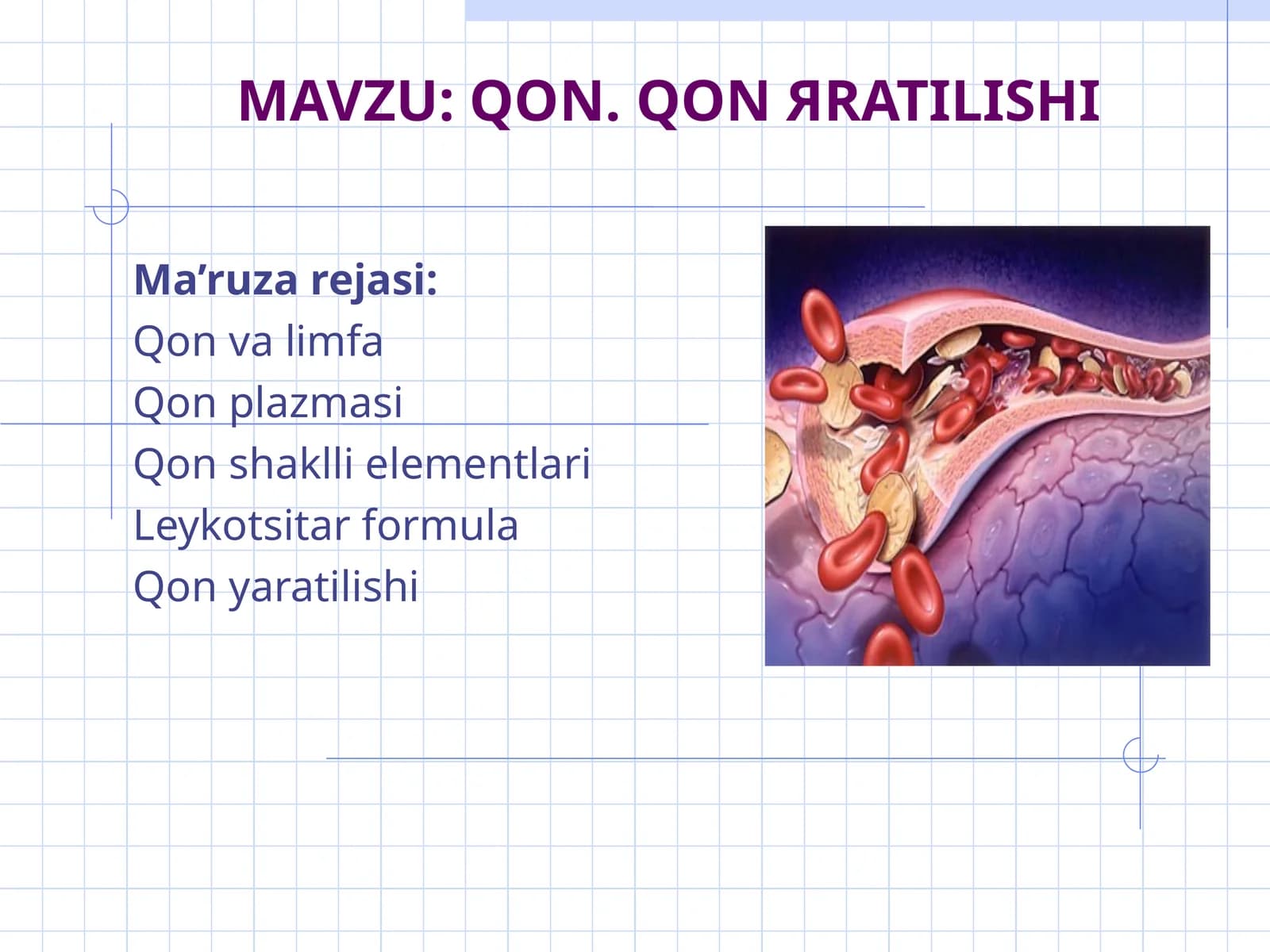 QON