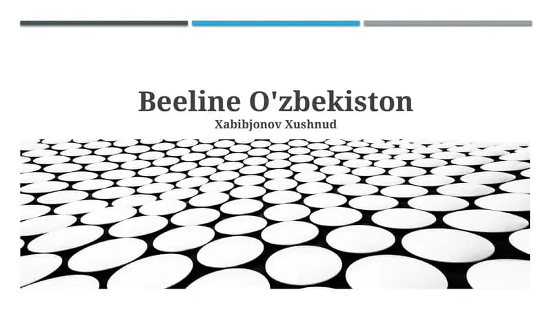 Beeline Uzbekistan: Tarix va Rivojlanish