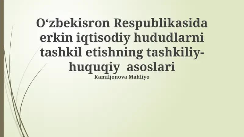 Oʻzbekiston Respublikasida Erkin Iqtisodiy Zonalarni Tashkil etishning Tashkiliy asoslari