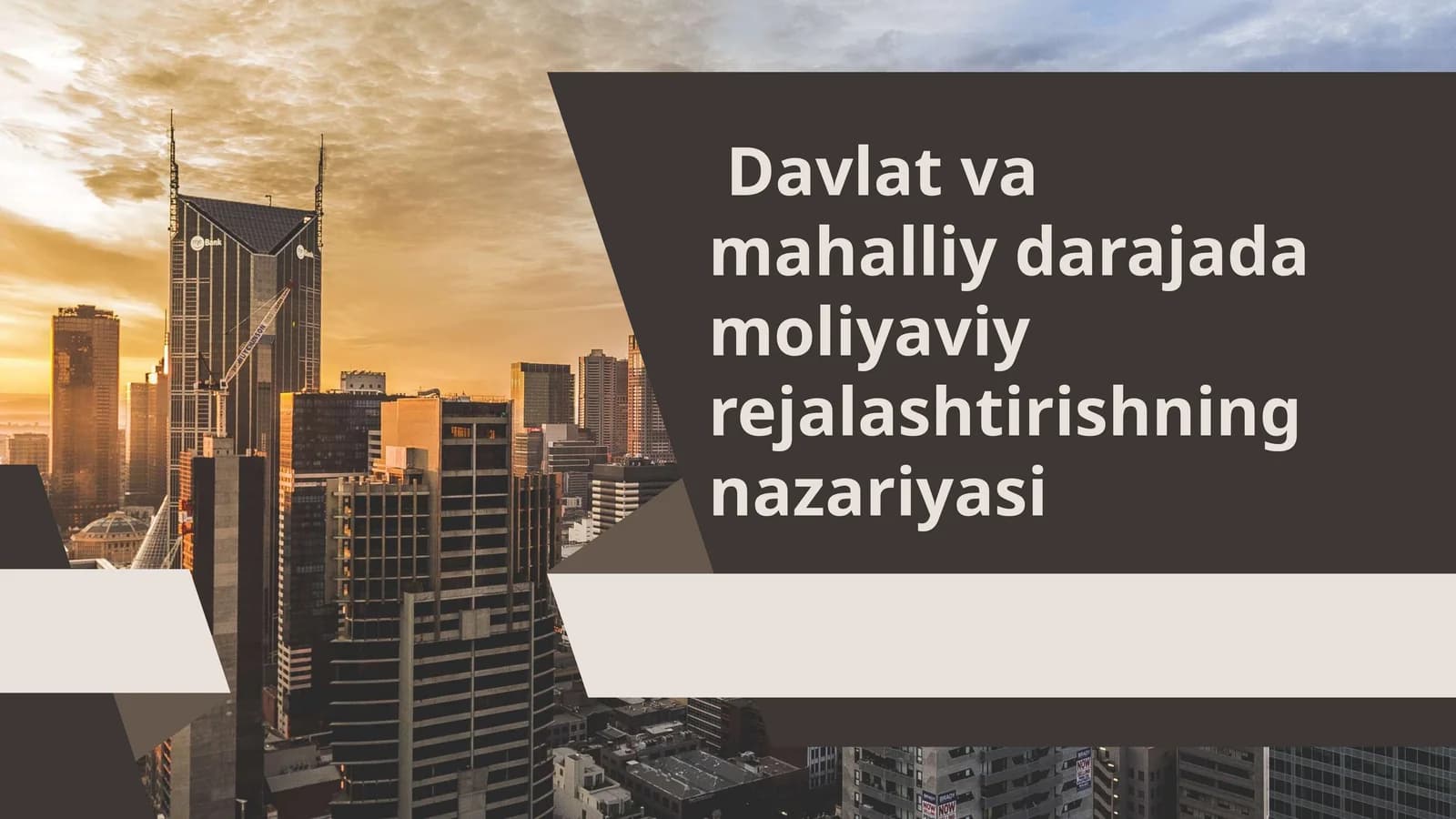 Davlat va mahalliy darajada moliyaviy rejalashtirishning nazariyasi