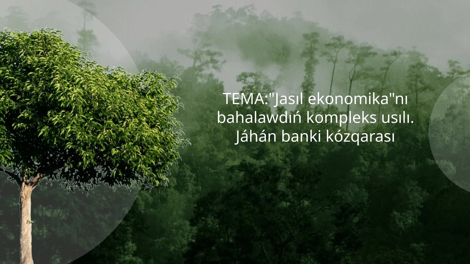 "Jasılekonomika"nı bahalawdıń kompleks usılı. Jáhán banki kózqarası