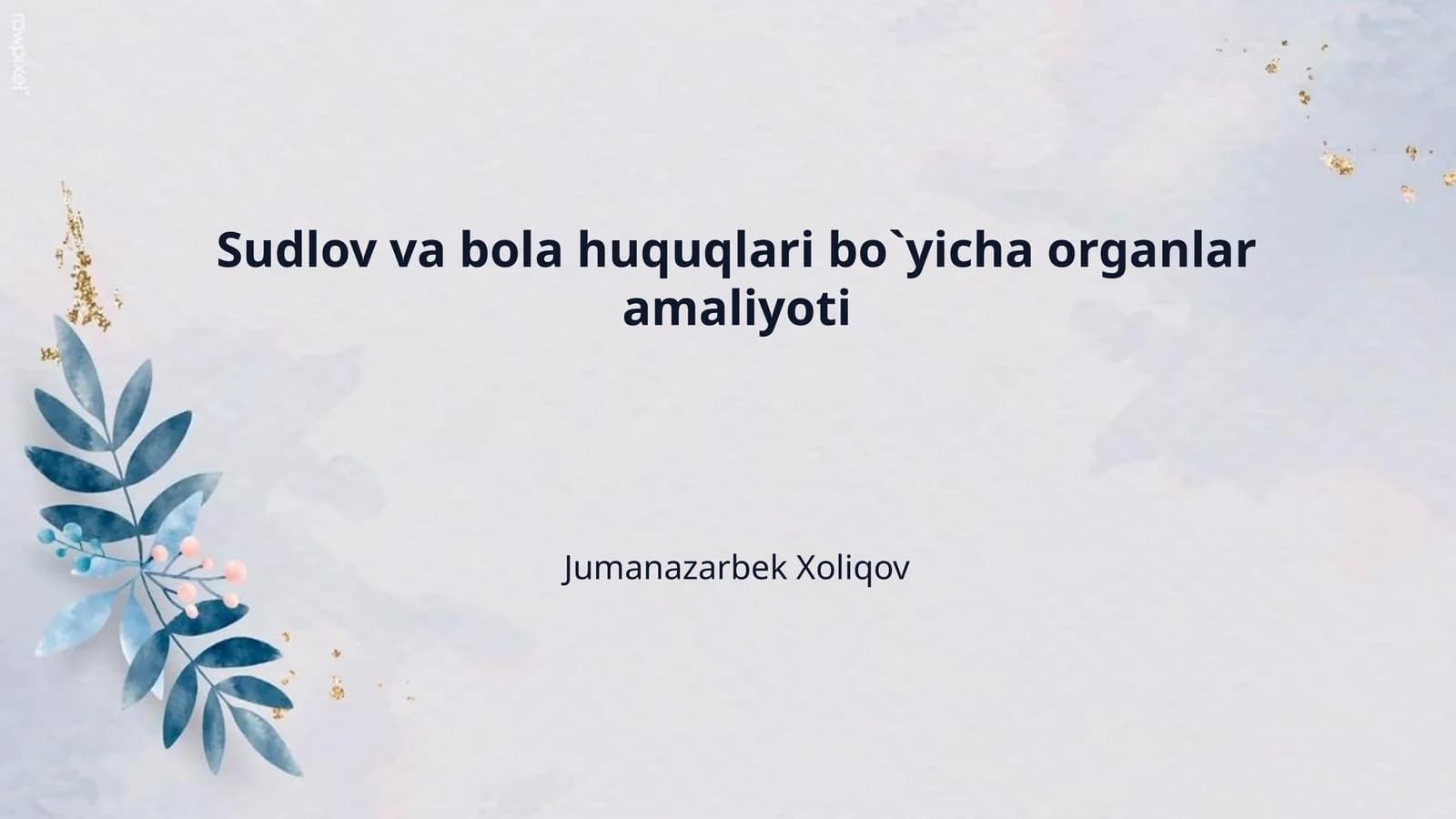 Sudlov va bola huquqlari bo`yicha organlar amaliyoti