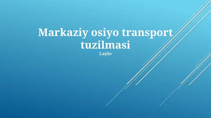 Markaziy osiyo transport tuzilmasi