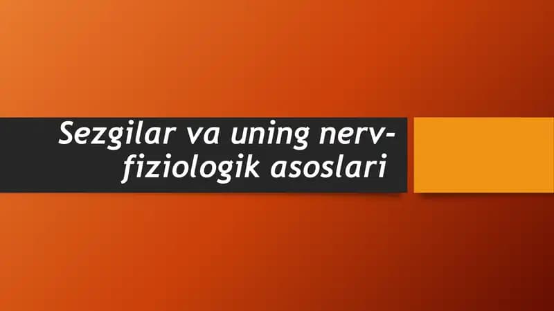 Sezgilar va uning nerv-fiziologik asoslari