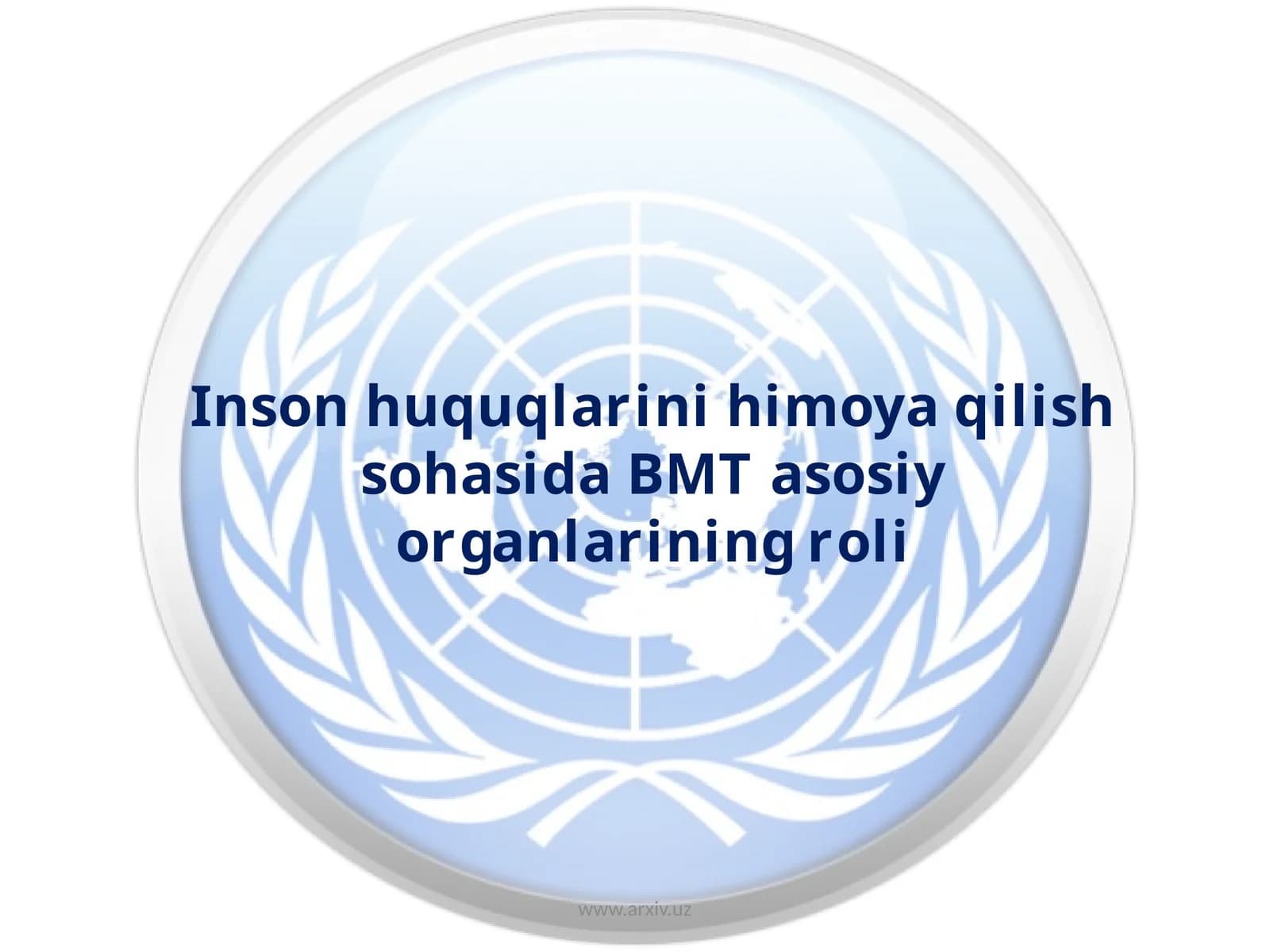 Inson huquqlarini himoya qilish sohasida BMT asosiy organlarining roli