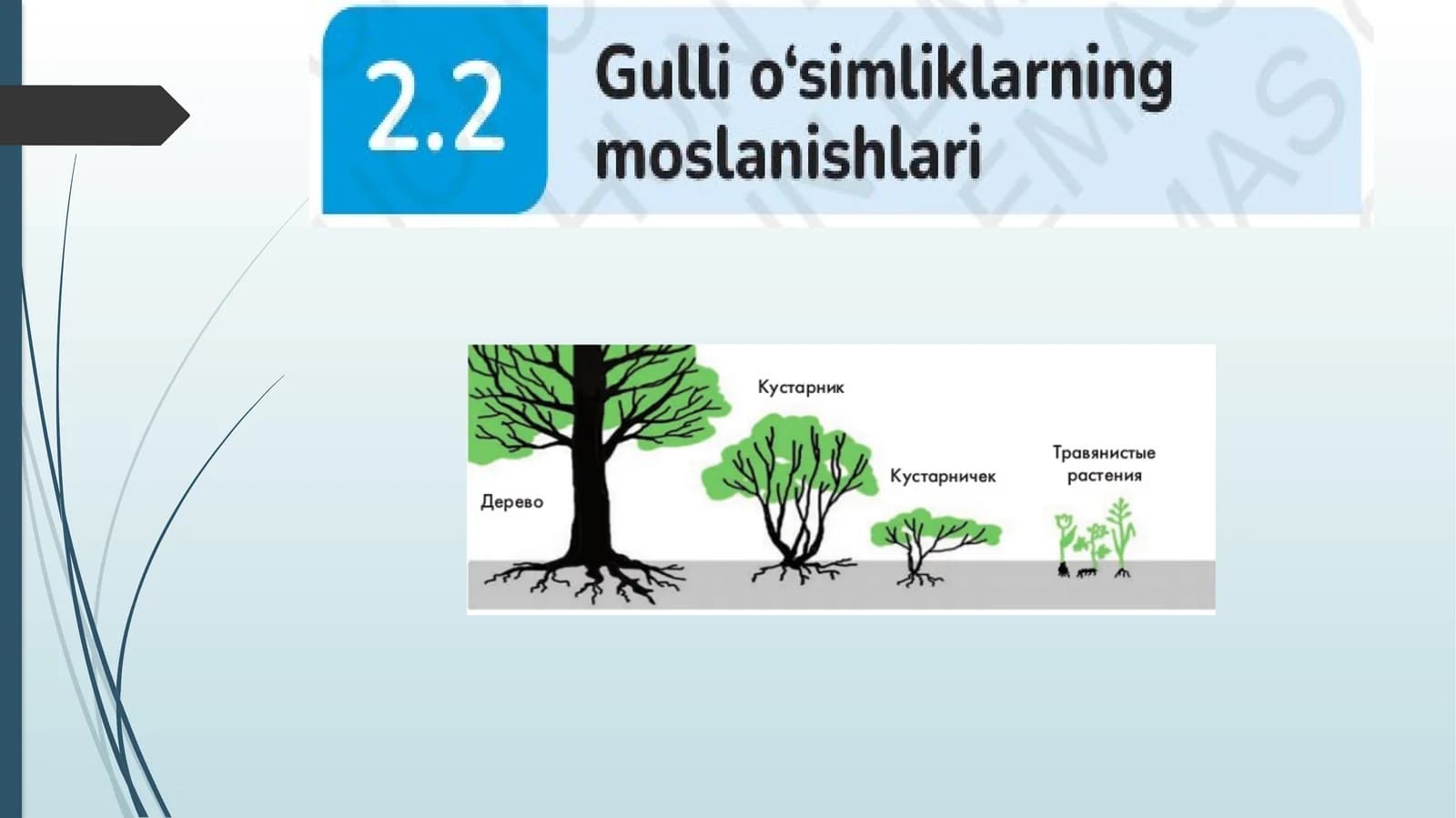 Topshiriqlar
