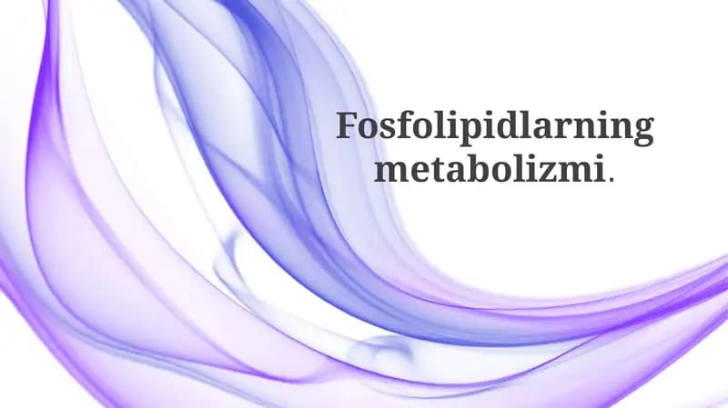 Fosfolipidlar: Tuzilishi va Asosiy Sinfllari