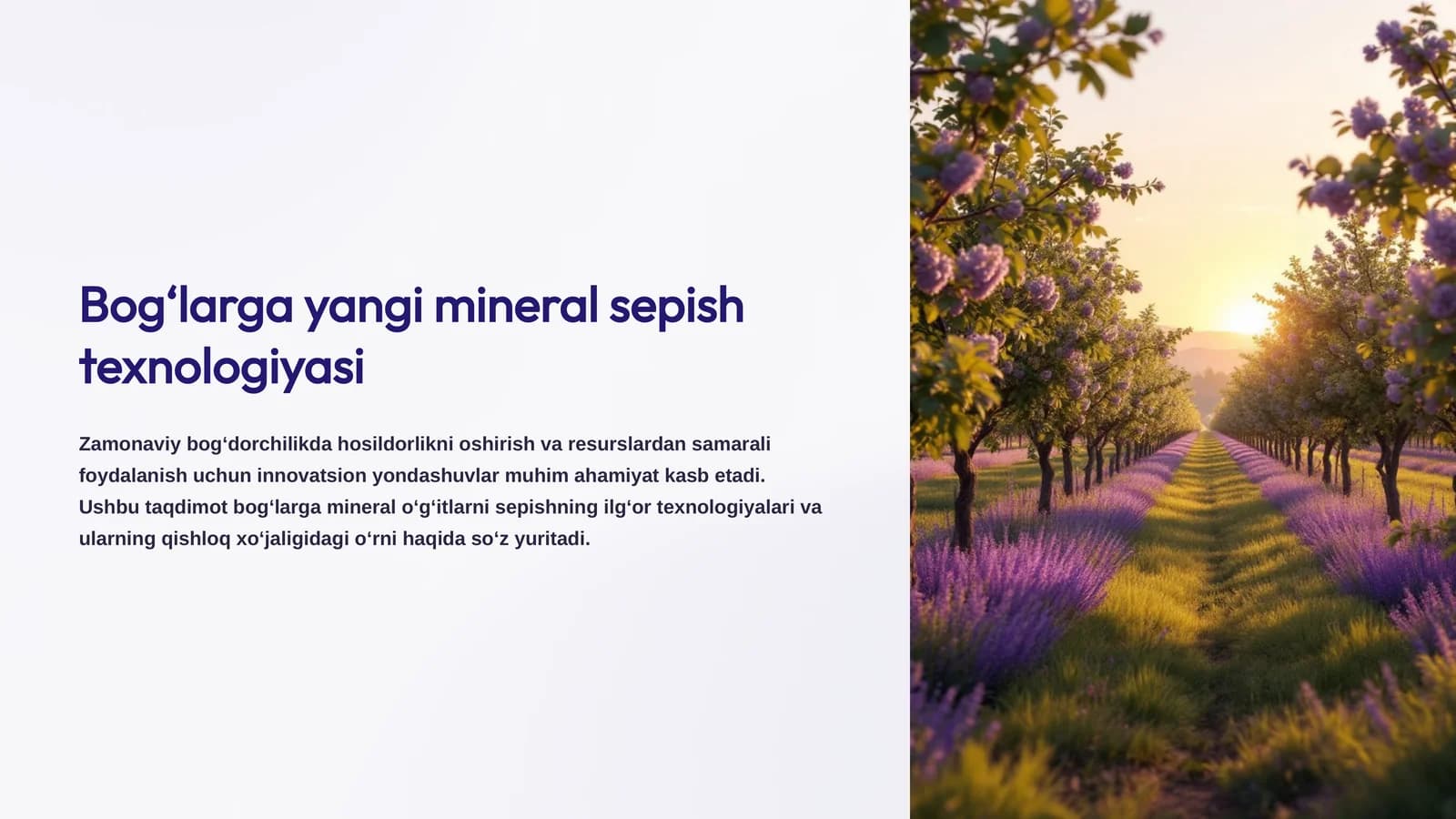 Bog‘larga yangi mineral sepish texnologiyasi