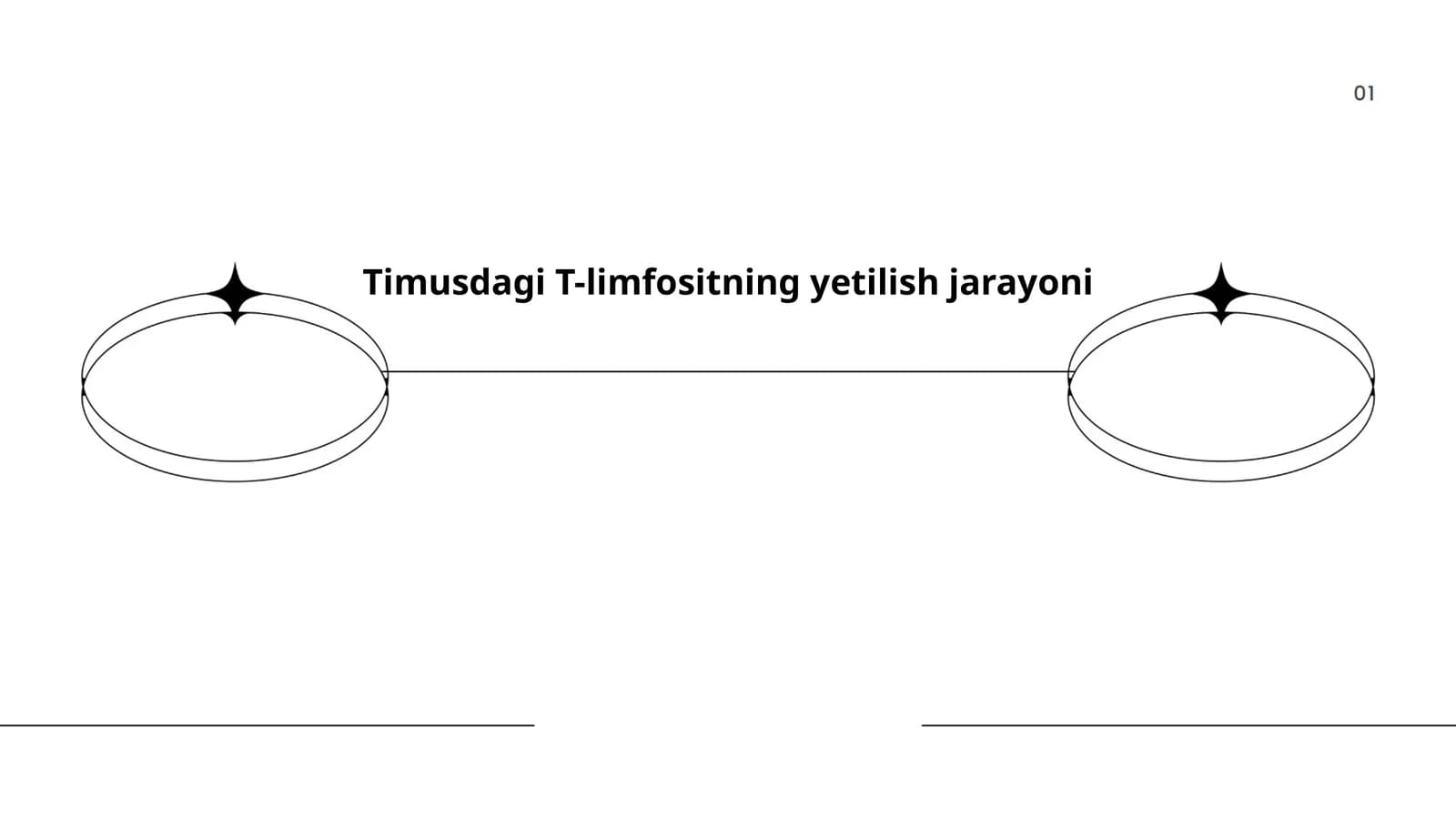 Timusdagi T-limfositning yetilish jarayoni