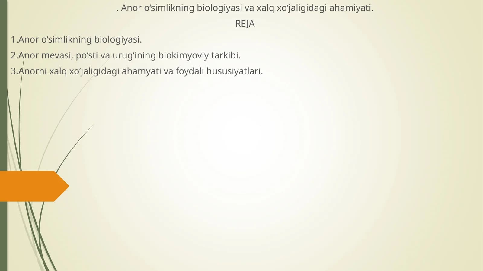 Anor o‘simlikning biologiyasi va xalq xo‘jaligidagi ahamiyati