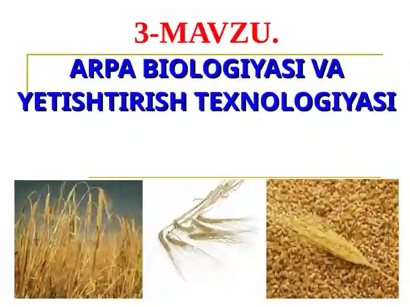 MAVZU.ARPA BIOLOGIYASI VA YETISHTIRISH TEXNOLOGIYASI