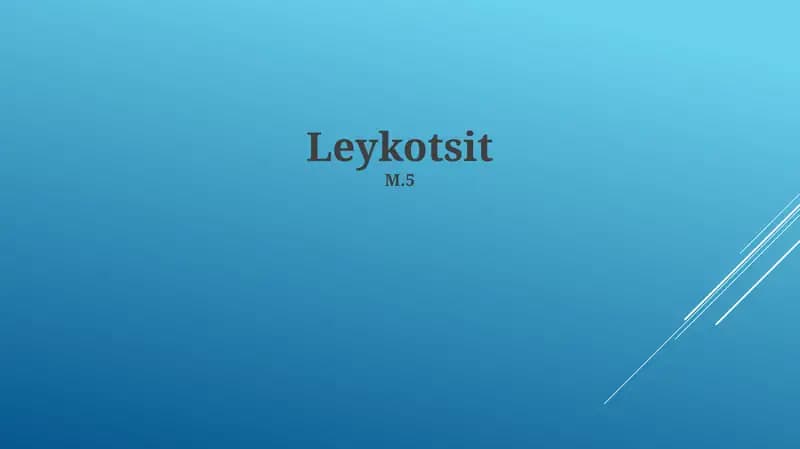 Leykotsit