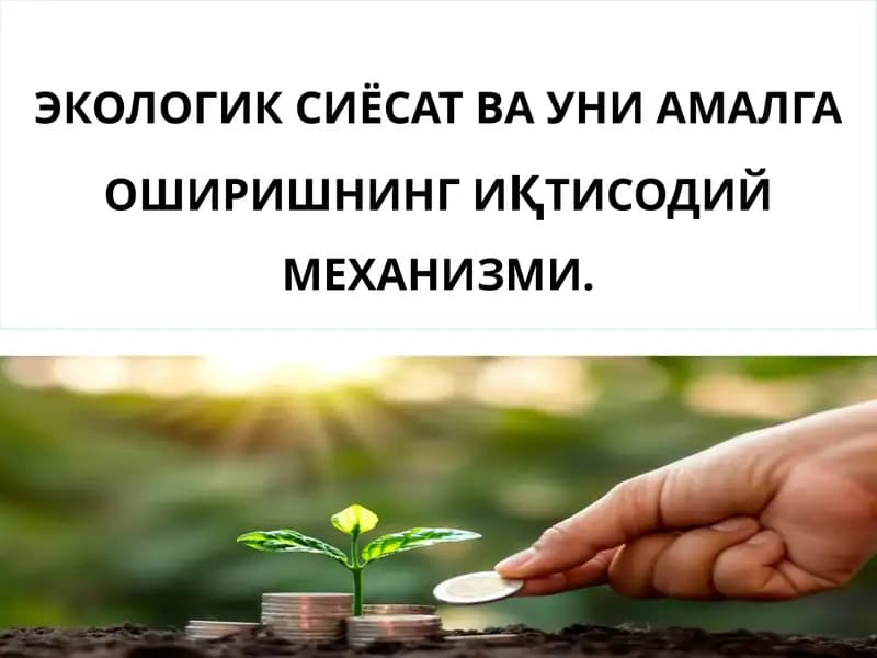 ЭКОЛОГИК СИЁСАТ ВА УНИ АМАЛГА ОШИРИШНИНГ ИҚТИСОДИЙ МЕХАНИЗМИ.