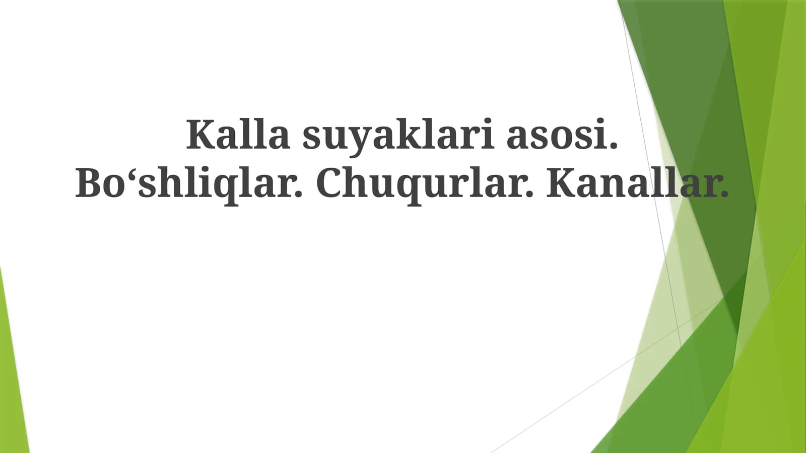 Kallasuyaklariasosi.Boʻshliqlar.Chuqurlar.Kanallar