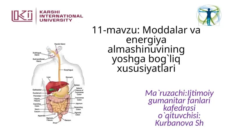 11-mavzu: Moddalar va energiya almashinuvining yoshga bog`liq xususiyatlari