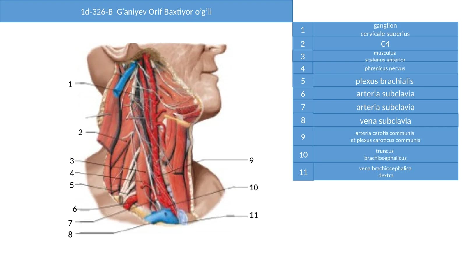 ganglion cervicale superius