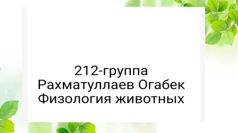 Влияние содержание и кормление животных на количество и качество молоко