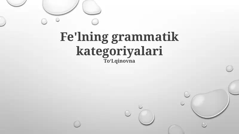 Fe'lning grammatik kategoriyalari
