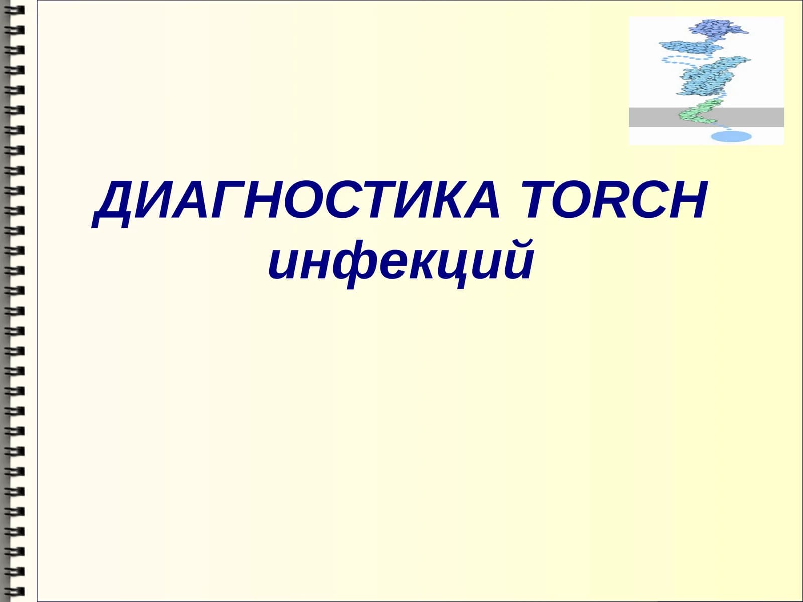 TORCH-инфекции