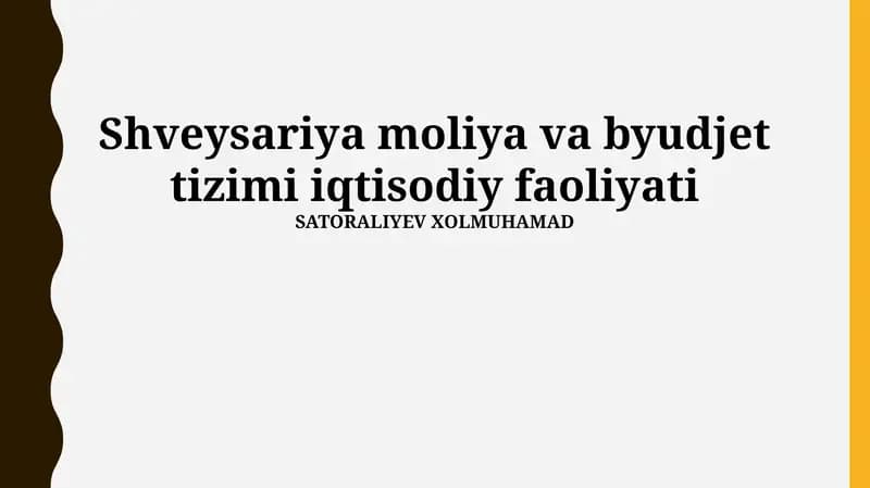 Shveysariya moliya va byudjet tizimi iqtisodiy faoliyati