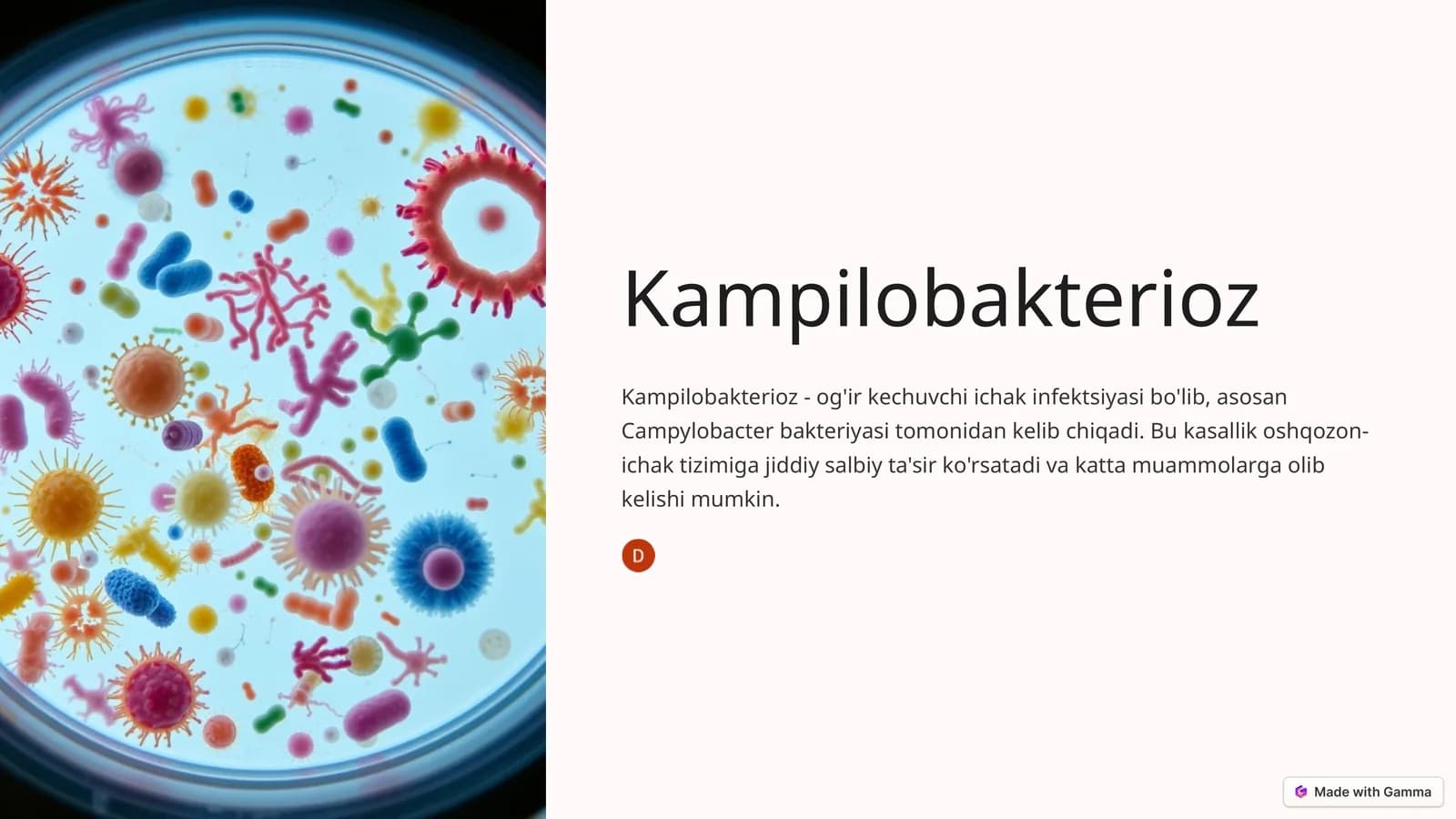 Kampilobakterioz