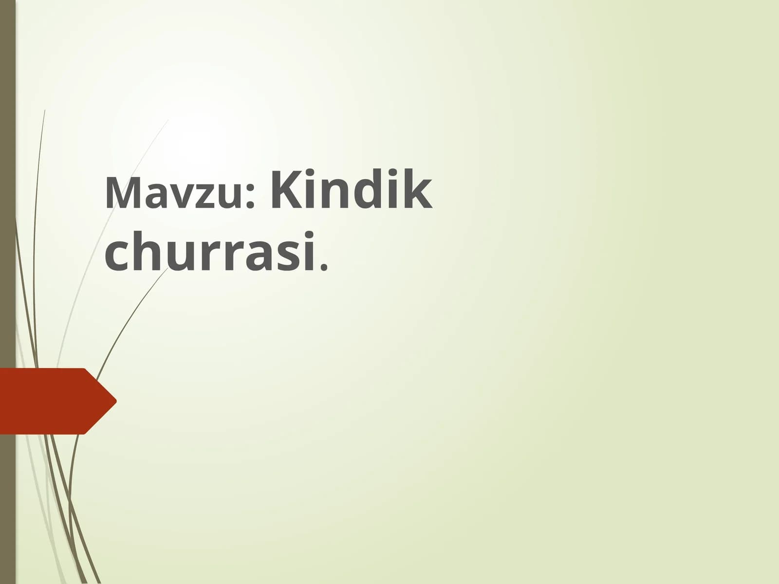 Kindik churrasi