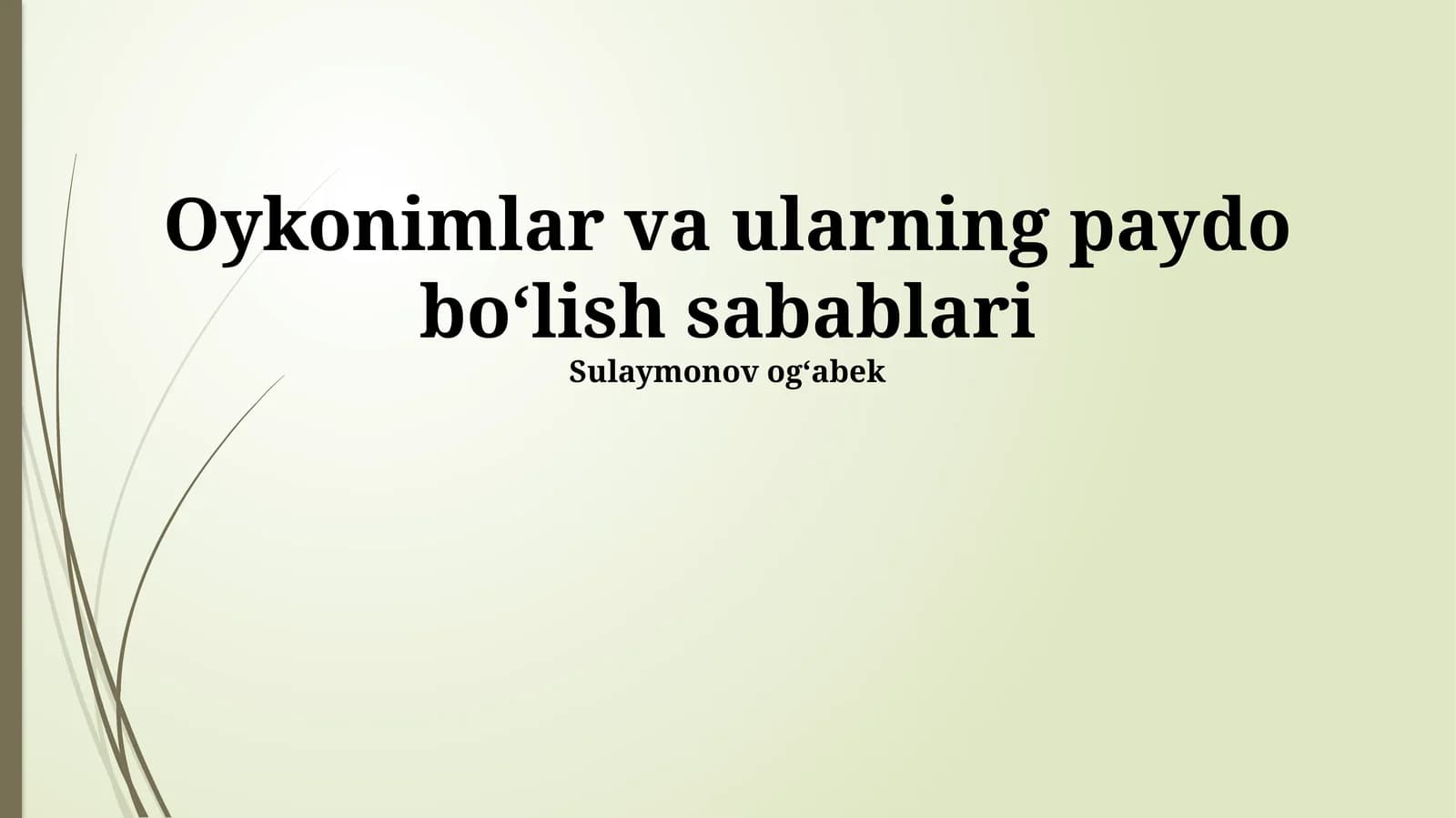 Onomastik tadqiqotlar