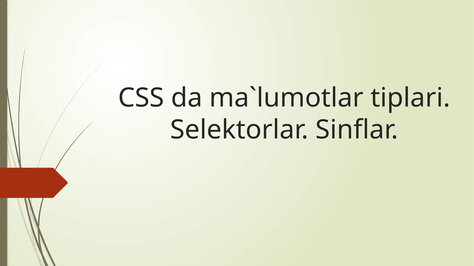 CSS da ma`lumotlar tiplari