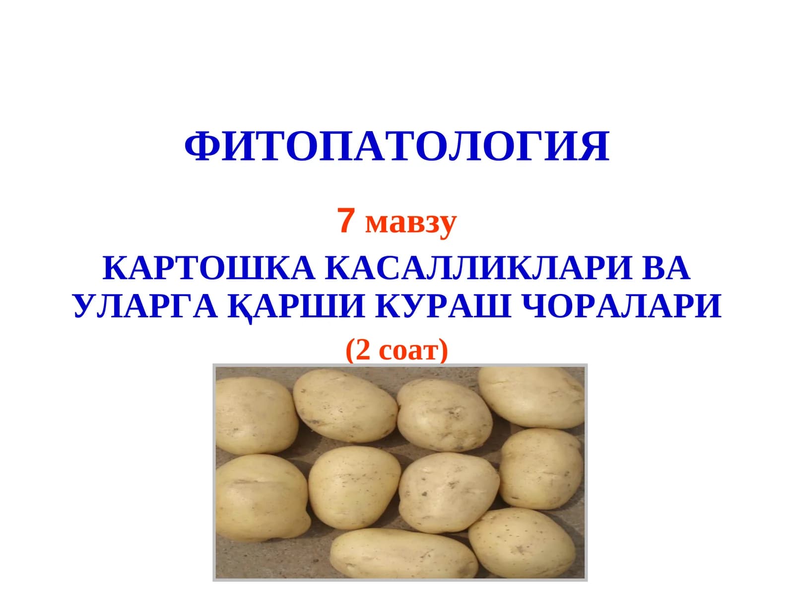 Картошка касалликлари ва уларга қарши кураш чоралари