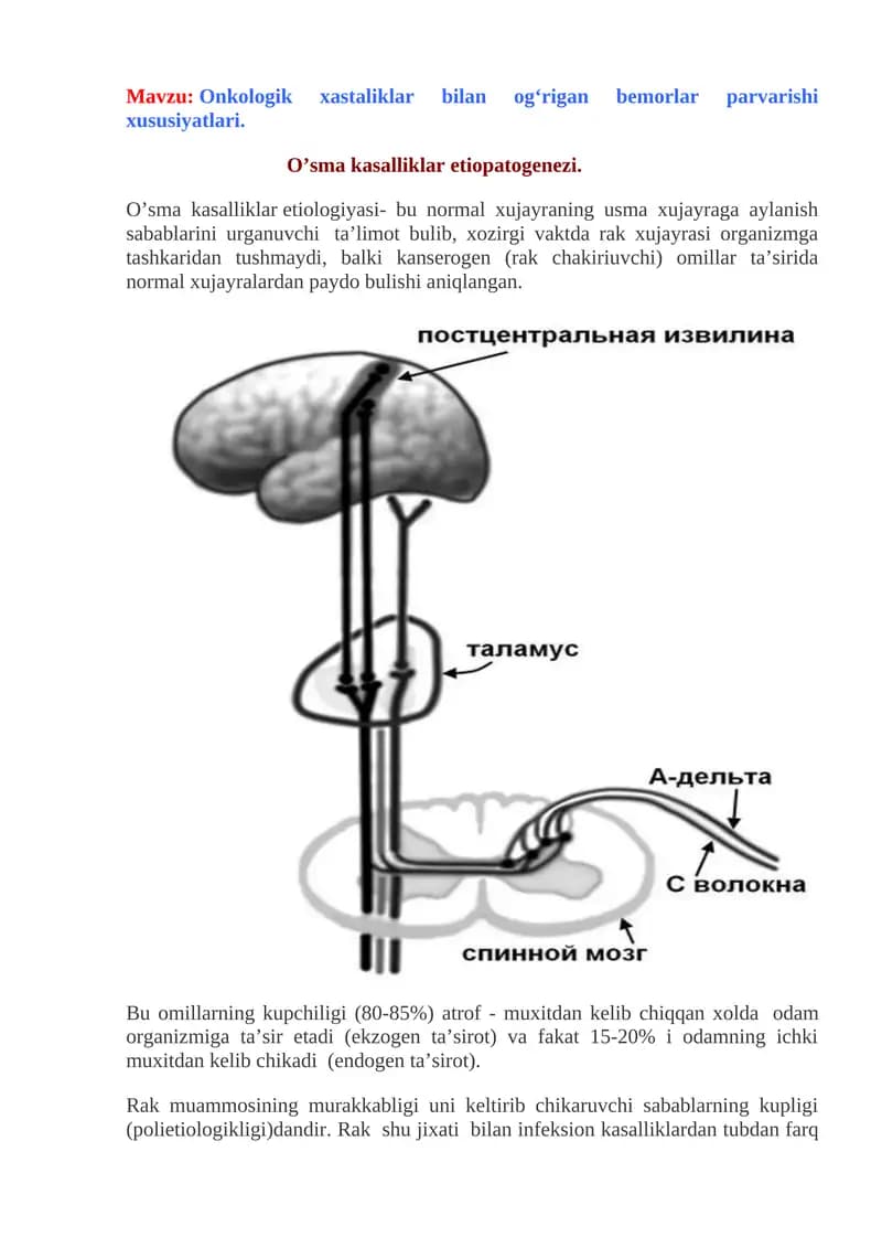 Onkologik xastaliklar bilan og‘rigan bemorlar parvarishi xususiyatlari