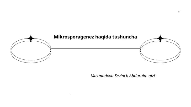 Mikrosporagenez haqida tushuncha