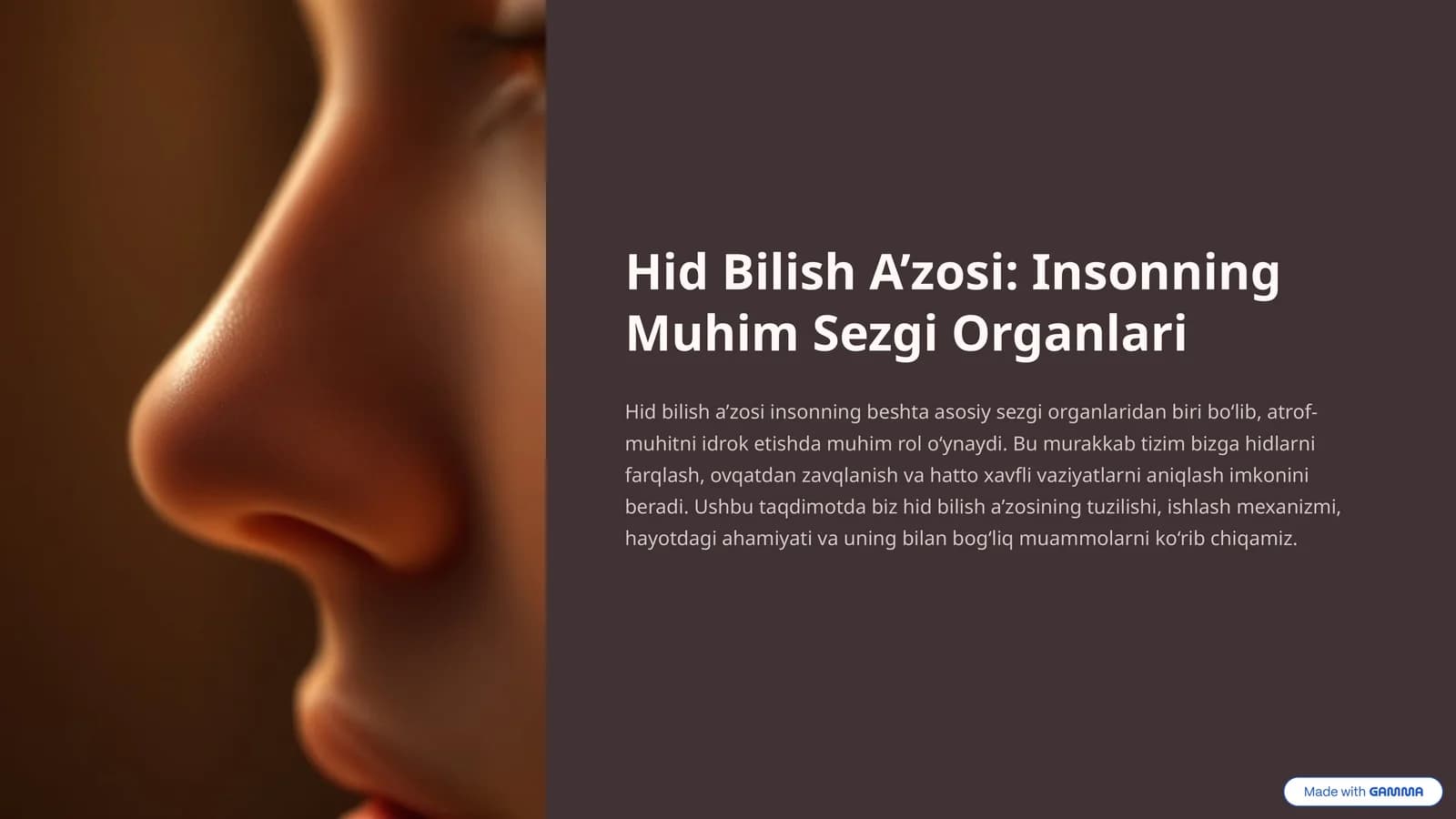 Hid Bilish A’zosi: Insonning Muhim Sezgi Organlari