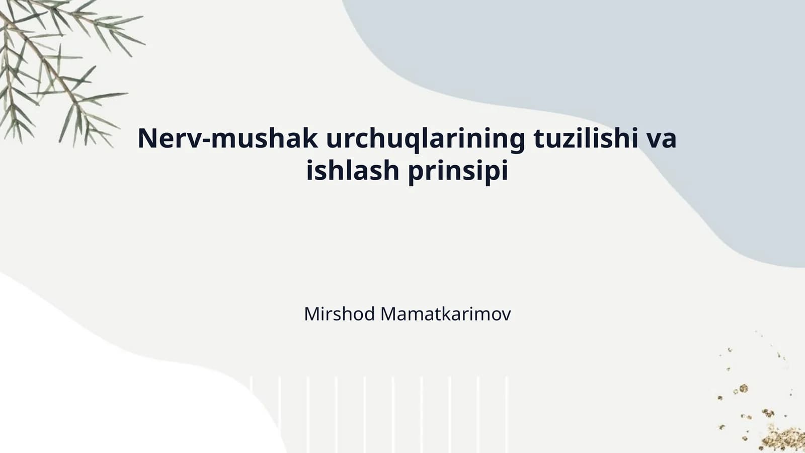Nerv-mushak urchuqlarining tuzilishi va ishlash prinsipi