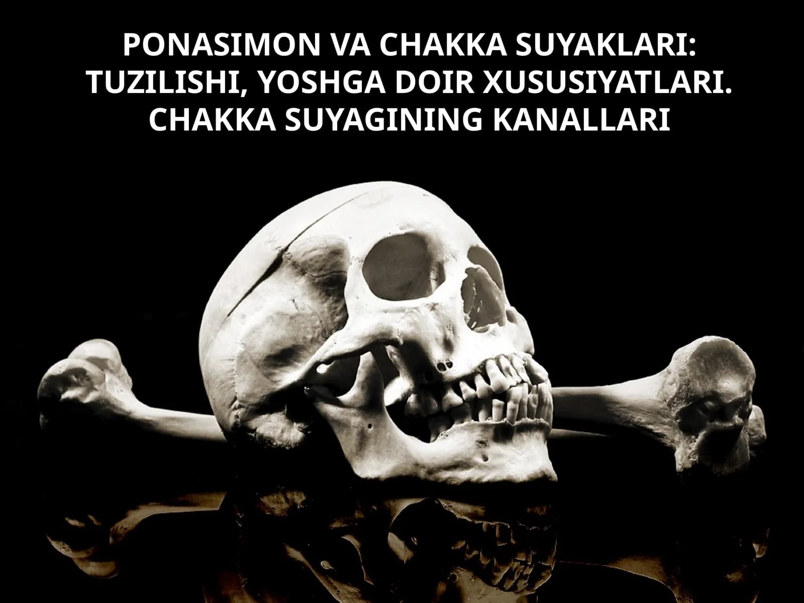 PONASIMON VA CHAKKA SUYAKLARI: TUZILISHI, YOSHGA DOIR XUSUSIYATLARI. CHAKKA SUYAGINING KANALLARI