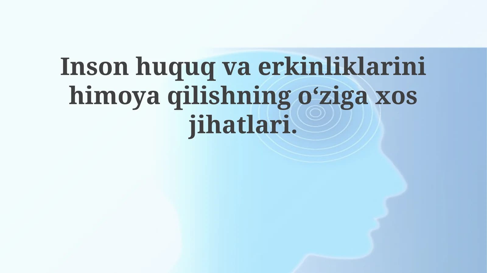 Inson huquqlari va erkinliklarini himoya qilishning o'ziga xos jihatlari