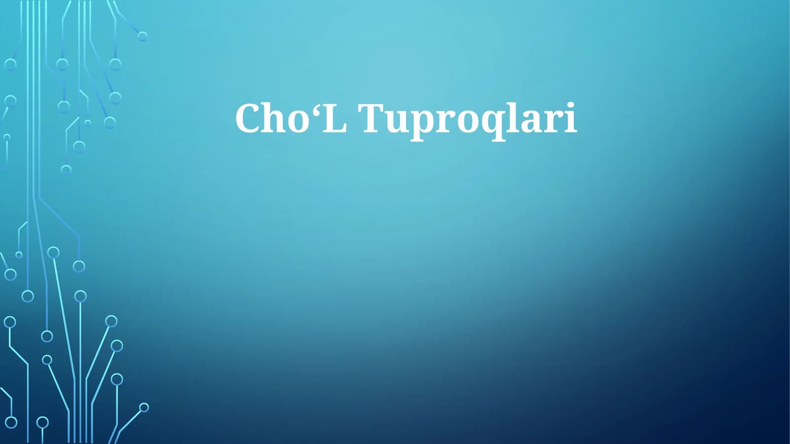 ChoʻL Tuproqlari