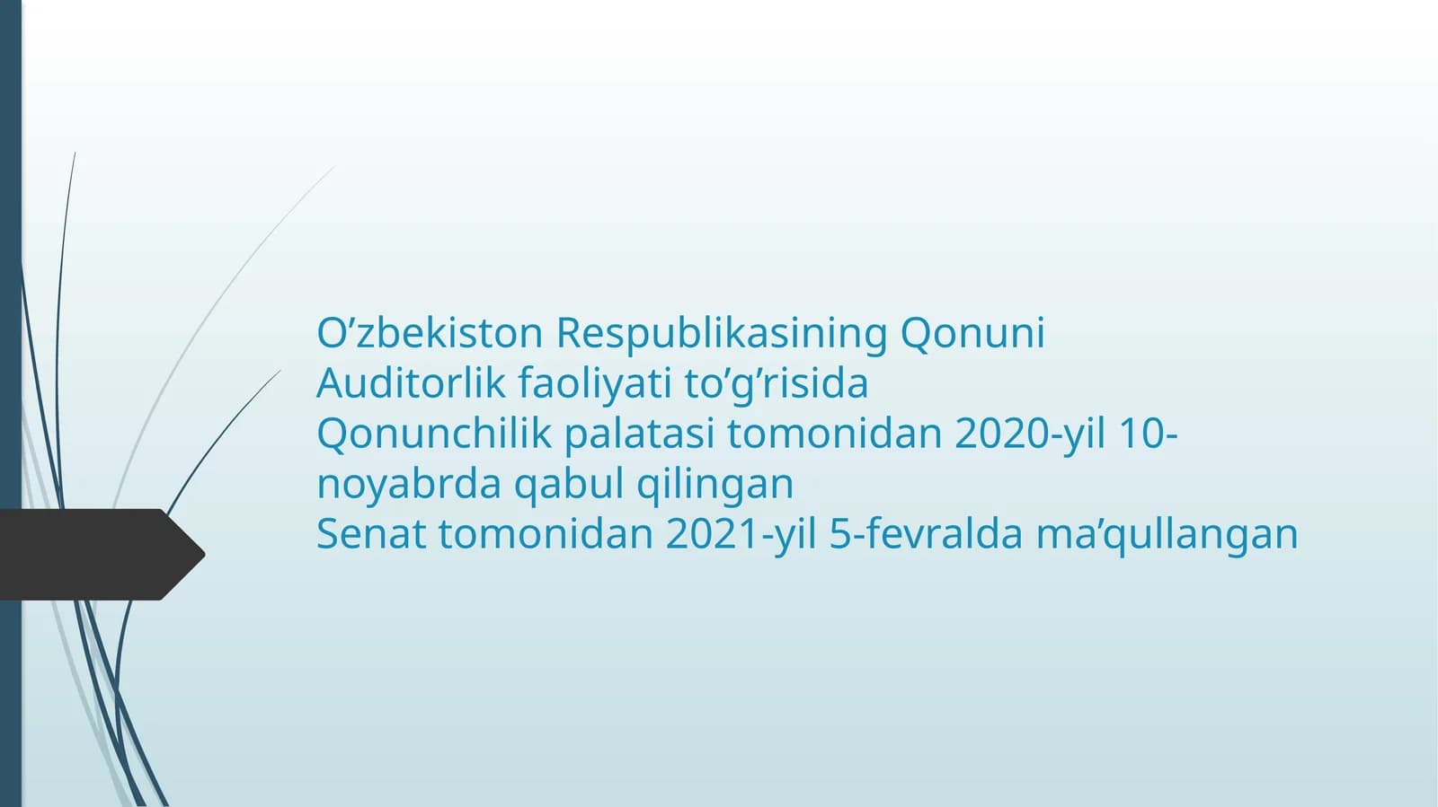 Auditorlik faoliyati to‘g‘risida Qonun