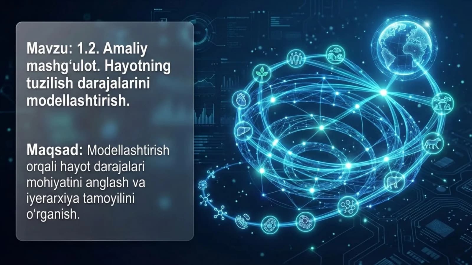 Hayotning tuzulish darajalarini modellashtirish