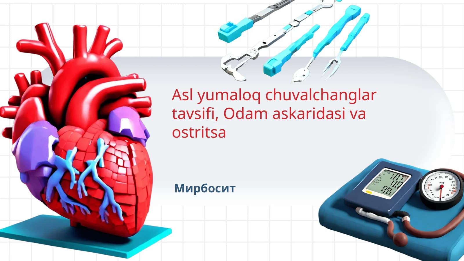 Asl yumaloq chuvalchanglar tavsifi, Odam askaridasi va ostritsa