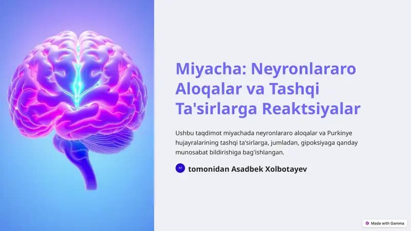 Miyacha: Neyronlararo Aloqalar va Tashqi Ta'sirlarga Reaktsiyalar