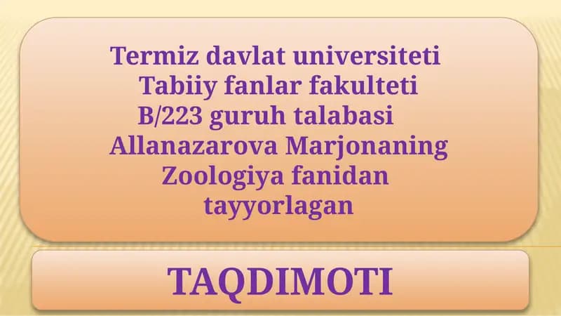 Nemirtinlarni qonaylanish va nafas olish sistemalari