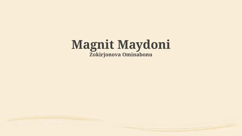 Magnit Maydoni