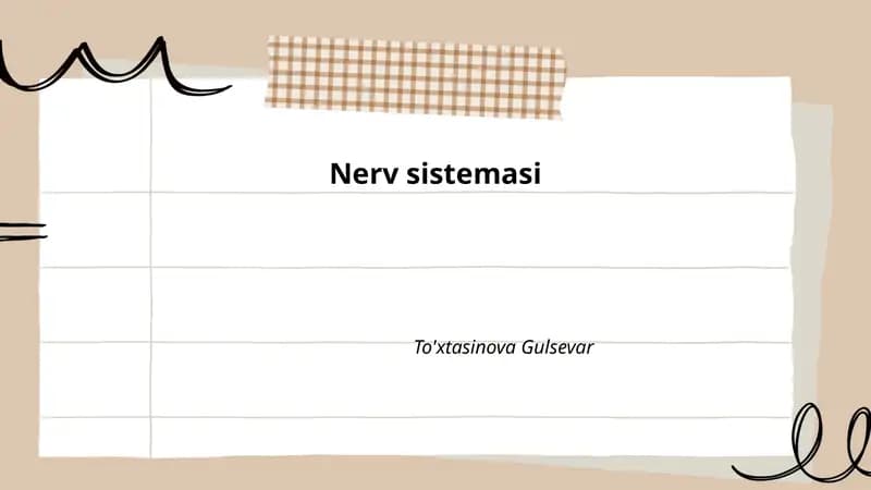 Nerv sistemasi